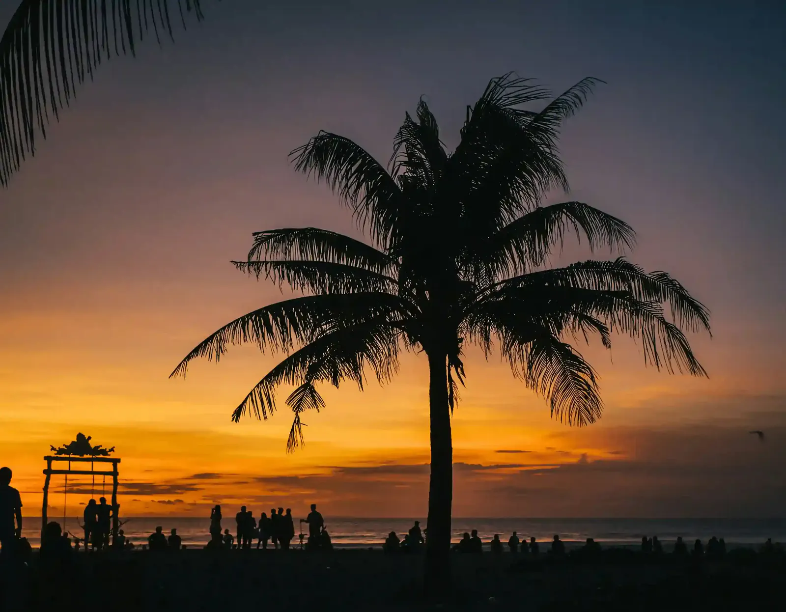 Coconut palm and beachgoers silhouetted against an orange sunset on a west-coast Bali beach
