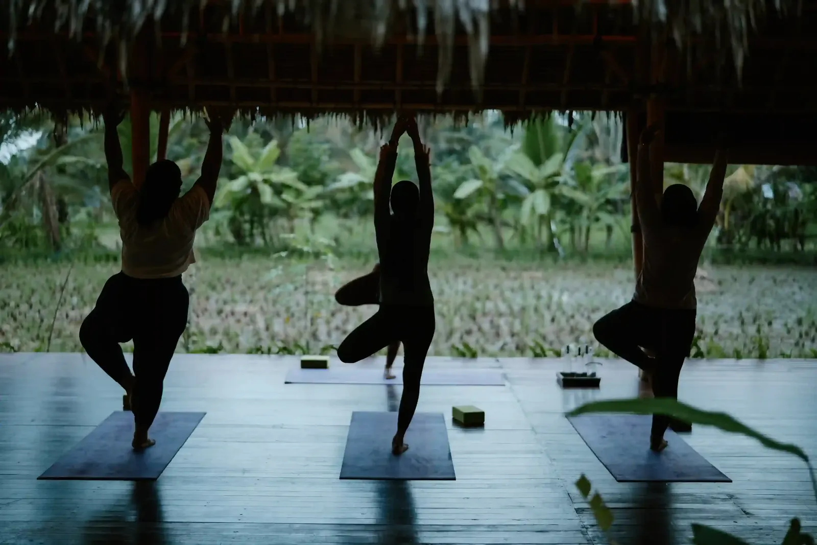 Three people silhouetted in tree pose during a yoga session in an open pavilion near Ubud